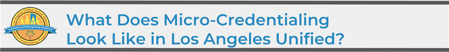What Does Micro-Credentialing Look Like Header What Does Micro-Credentialing Look Like Header